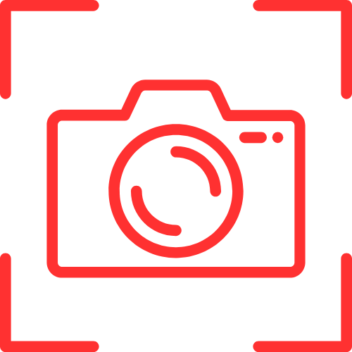 Anal Live Stream